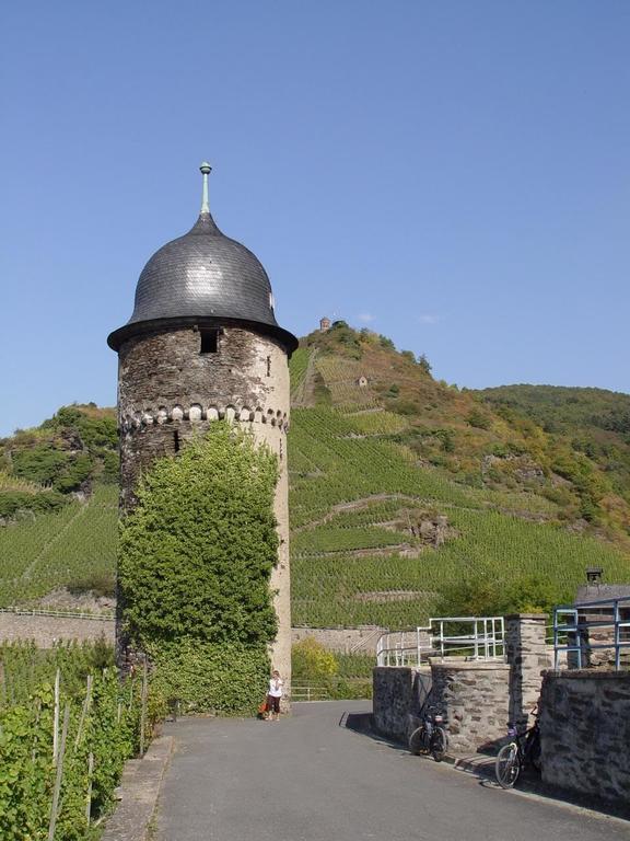 Pension Adelheid Moselhype&Wine Zell an der Mosel Bagian luar foto