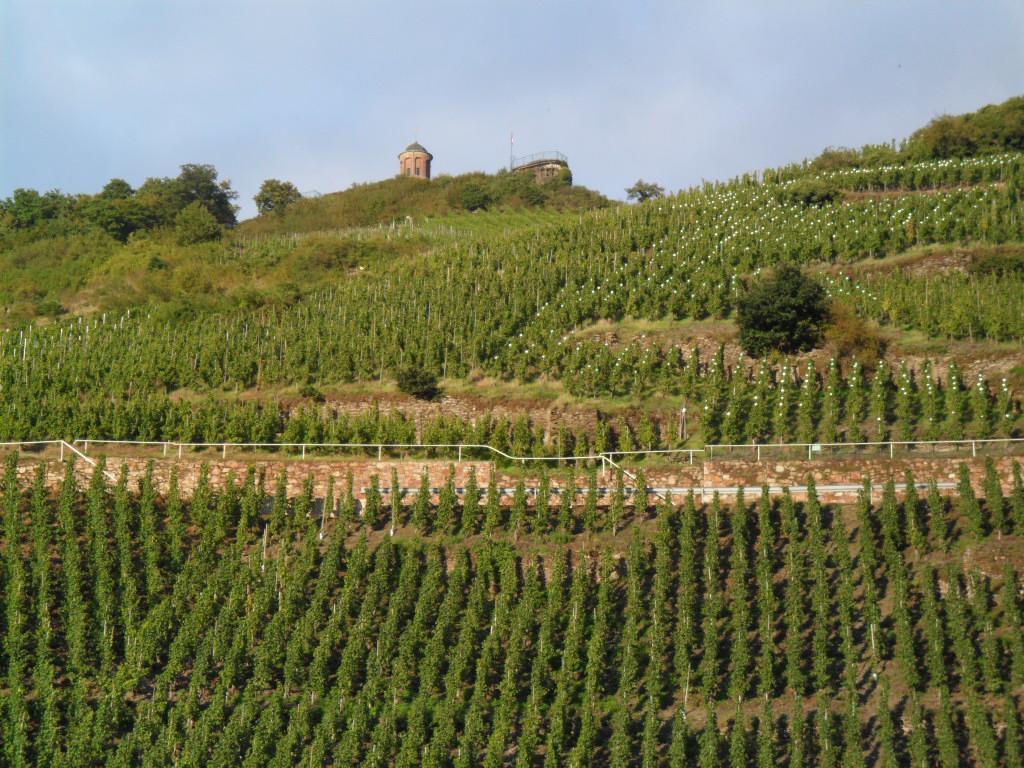 Pension Adelheid Moselhype&Wine Zell an der Mosel Bagian luar foto