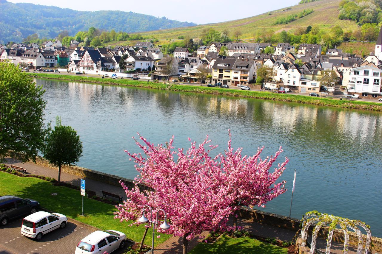 Pension Adelheid Moselhype&Wine Zell an der Mosel Bagian luar foto
